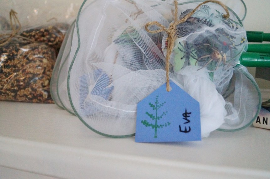 Butterfly nets full of bugs for favours.