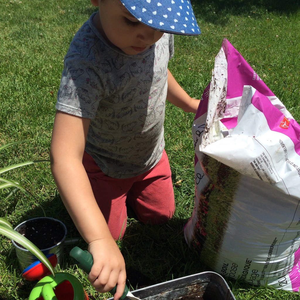 and gardening