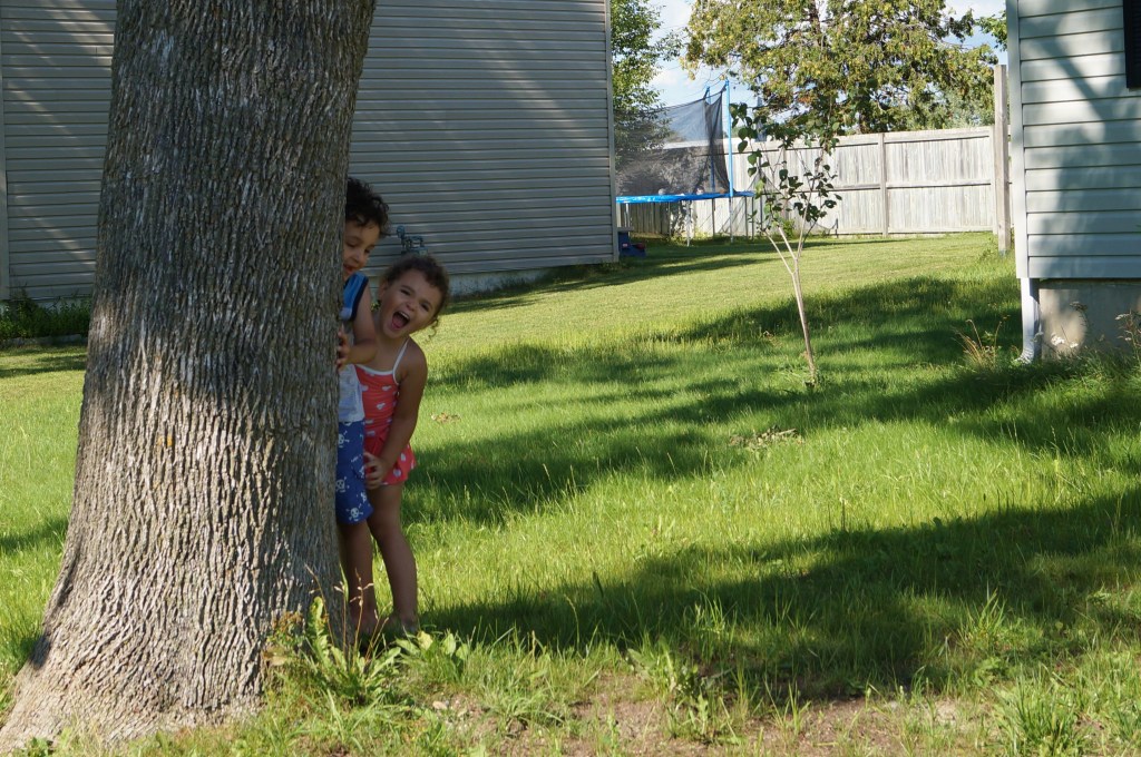 big trees