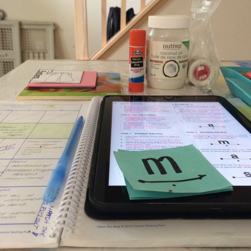 I like to lay everything that we need for the day out so that we can transition smoothly/quickly into the next activity. (there are a few things I get the kids to take out themselves so that they are involved in the prep)