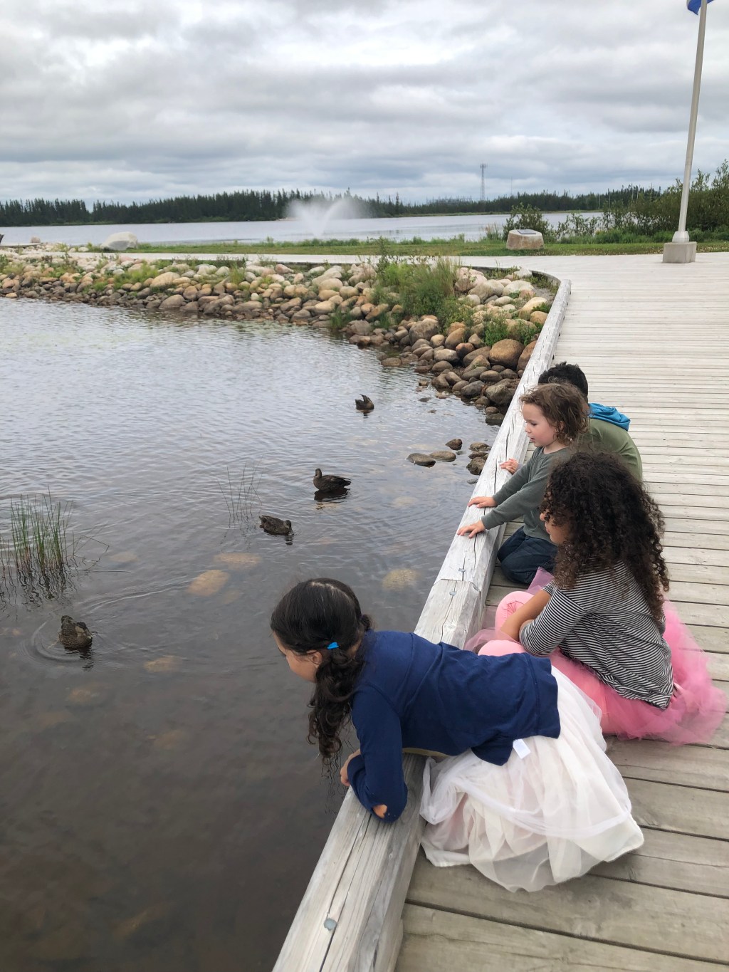 Canadian Environment Week HS&nbsp;Resources