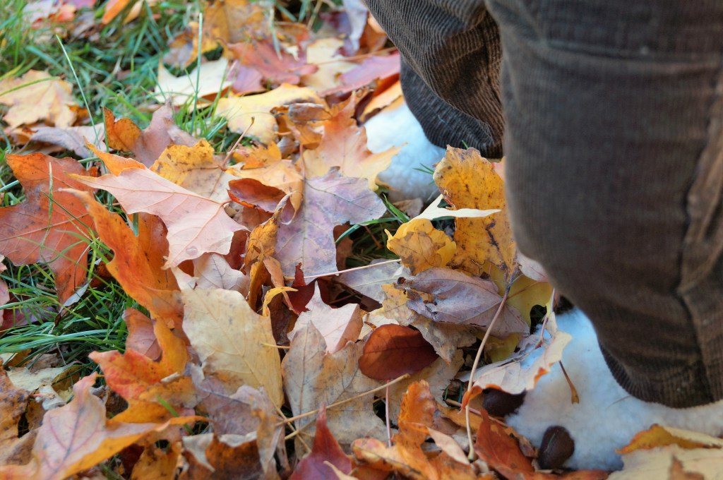 The Autumn People