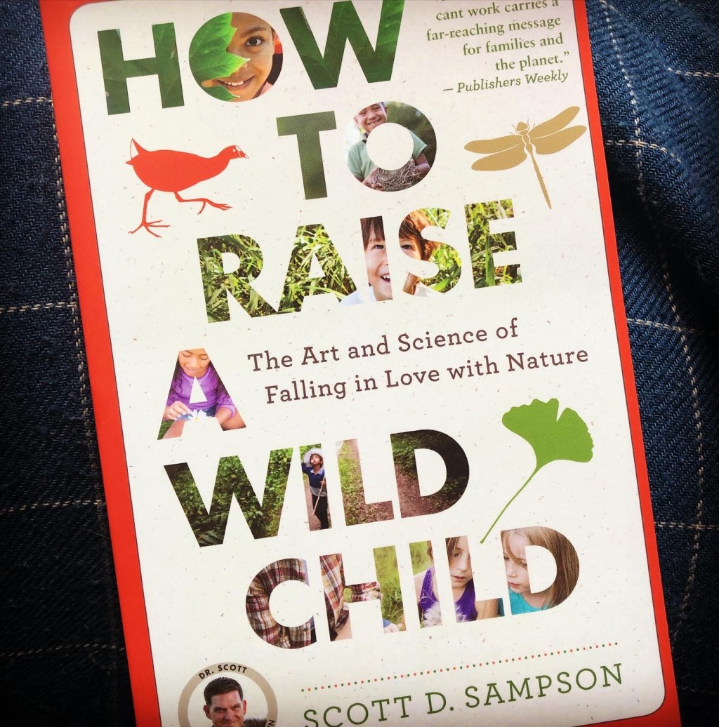 Top 5: Books to Inspire Your Homeschool&nbsp;Journey