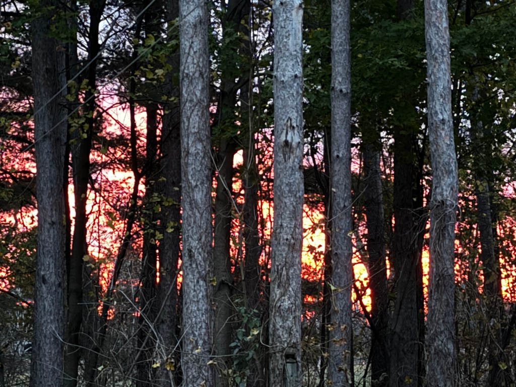 Poem: Burn Me&nbsp;Up